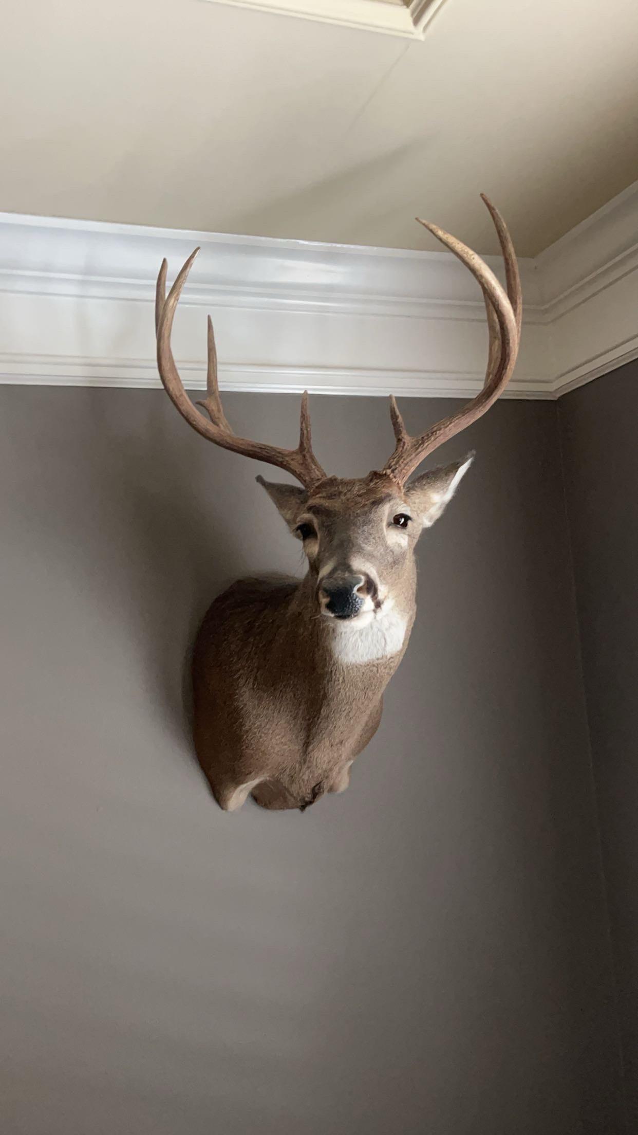 KHS deer bathroom installation